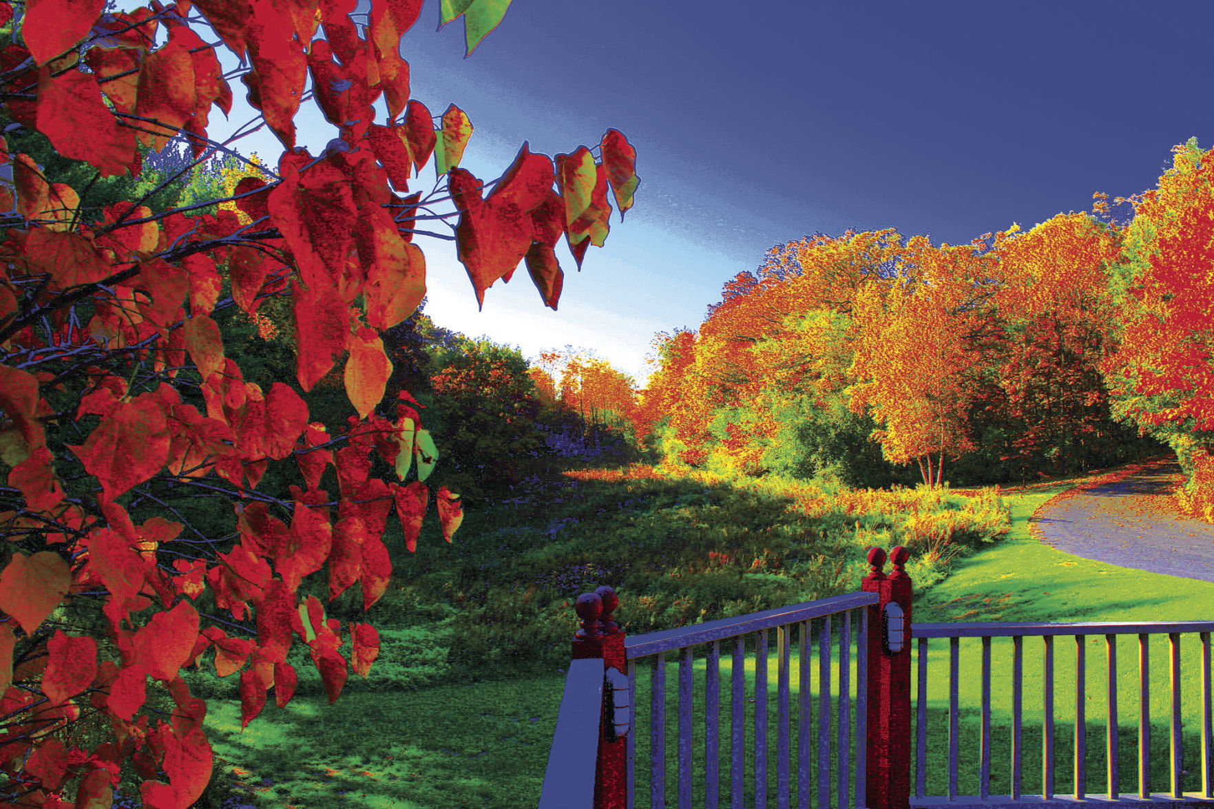 Winner: Intensified Fall